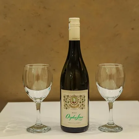 President Ii Apartamento